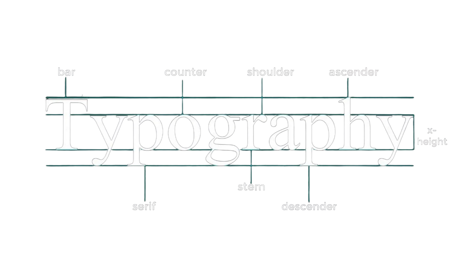 Typography anatomy diagram